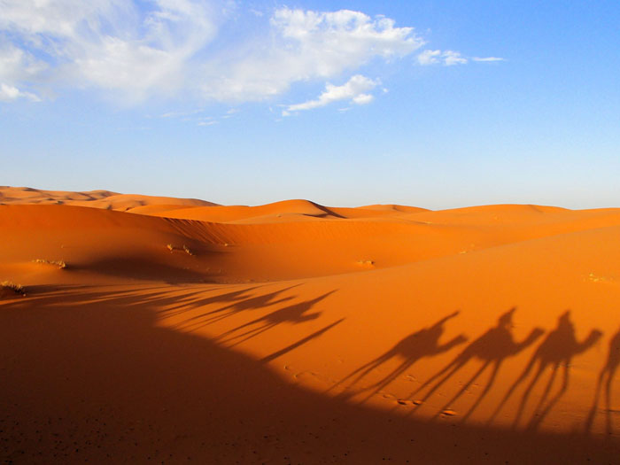 Marokko-Sahara-kamelentocht