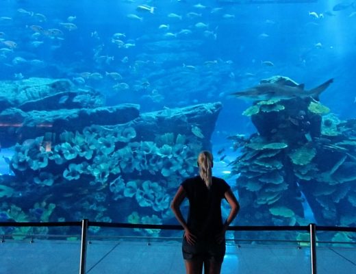 Dubai-aquarium
