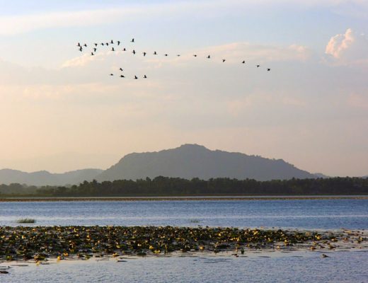 Sri-Lanka-meer-Tissamaharama