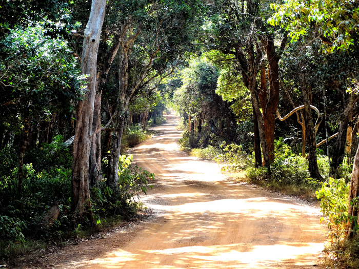 Wilpattu Nationaal park Sri Lanka