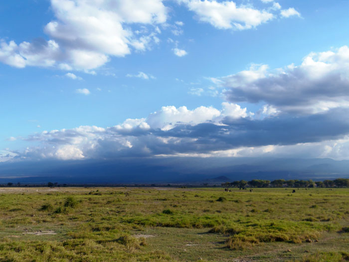 Uitgestrekte savanne in Amboseli nationaal park Kenia
