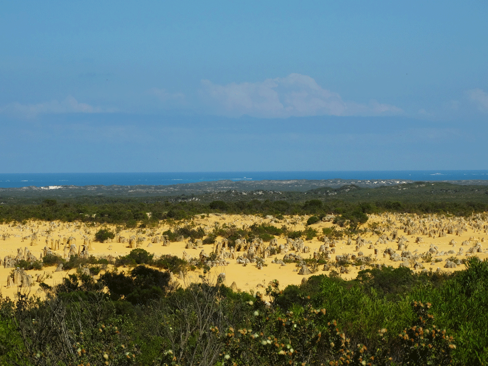 Pinnacles desert, Nambung national park, West Australië
