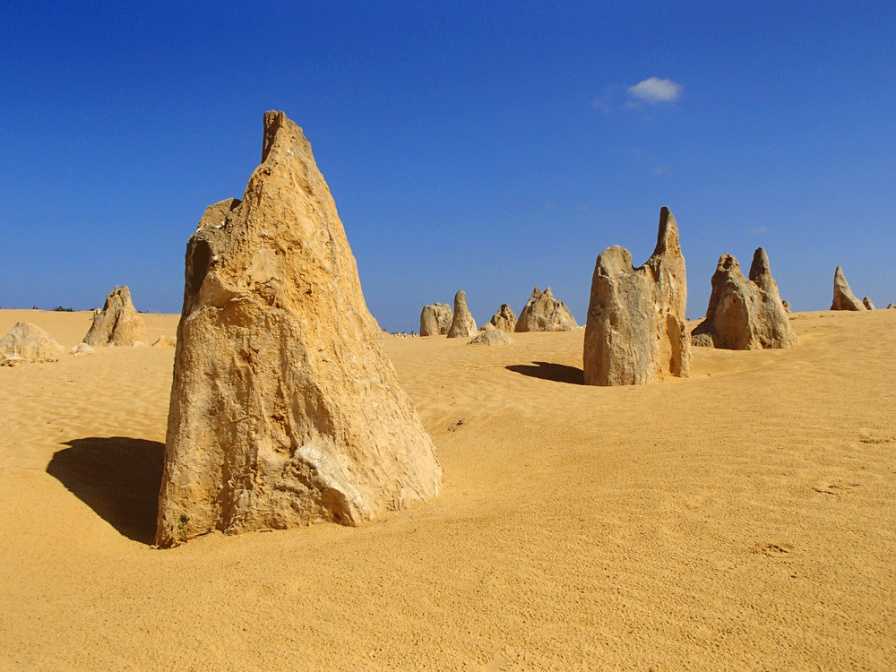 Pinnacles desert, Nambung national park, West Australië