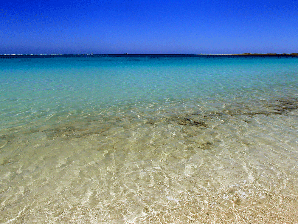 Coral Bay, Ningaloo Reef, West Australië