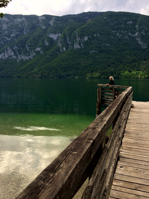 Het meer van Bohinj Slovenië