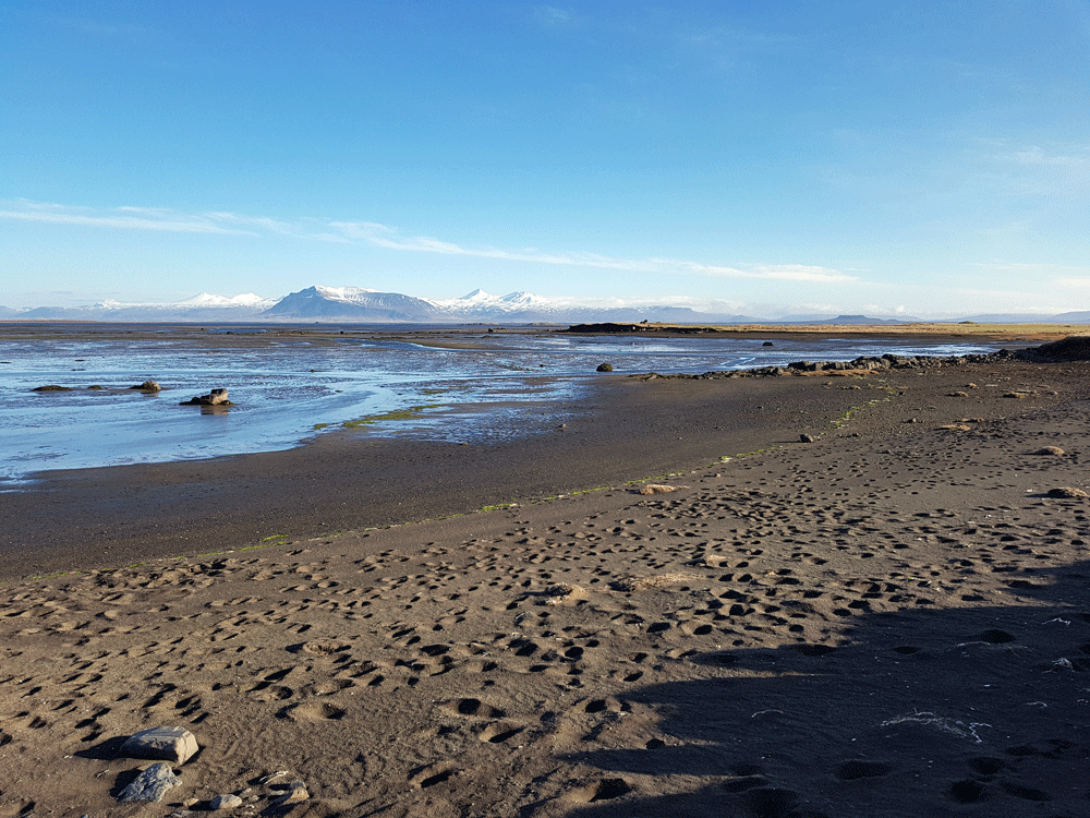 De zwarte stranden van West IJsland