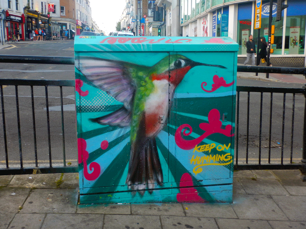 Hummingbird street art Brighton