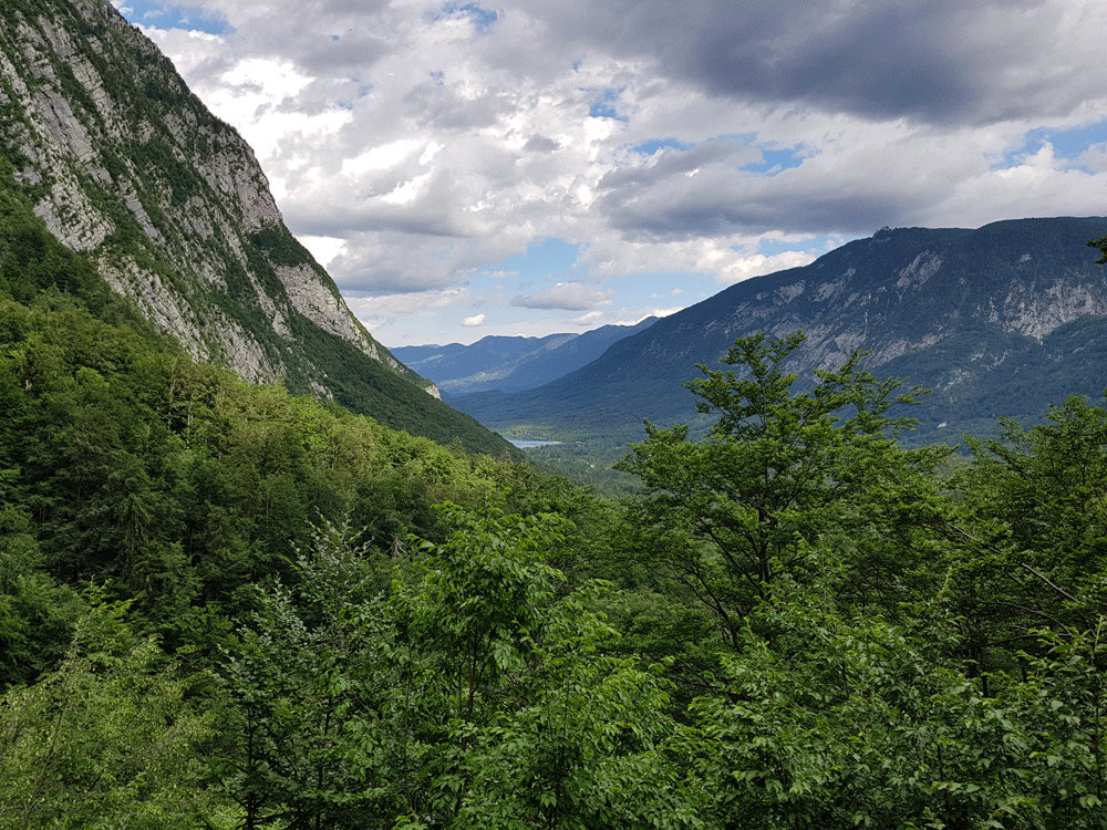 Uitzicht wandeling Savica waterval Slovenië