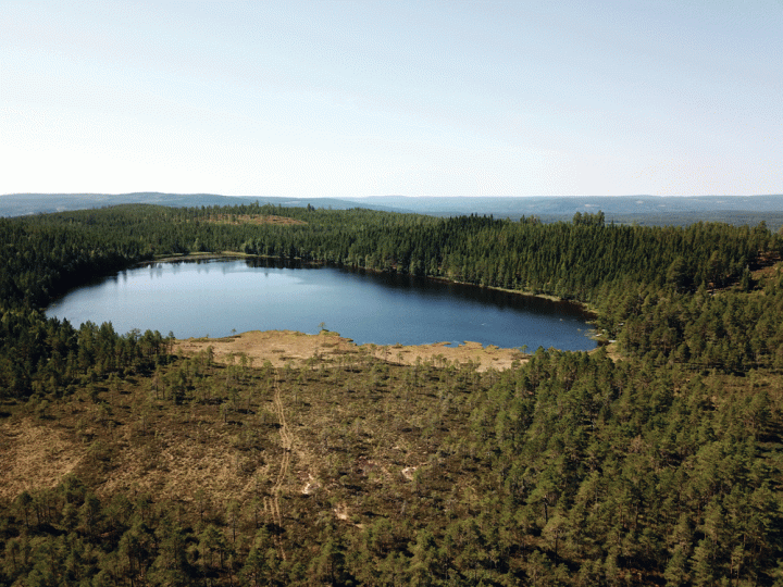 Bossen en meren in Värmland Zweden