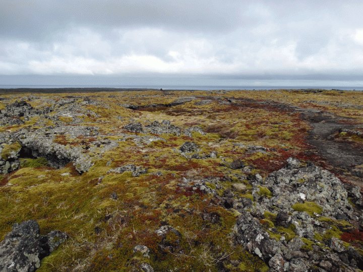 Öndverðarnes regio Snaefellsjökul National Park IJsland