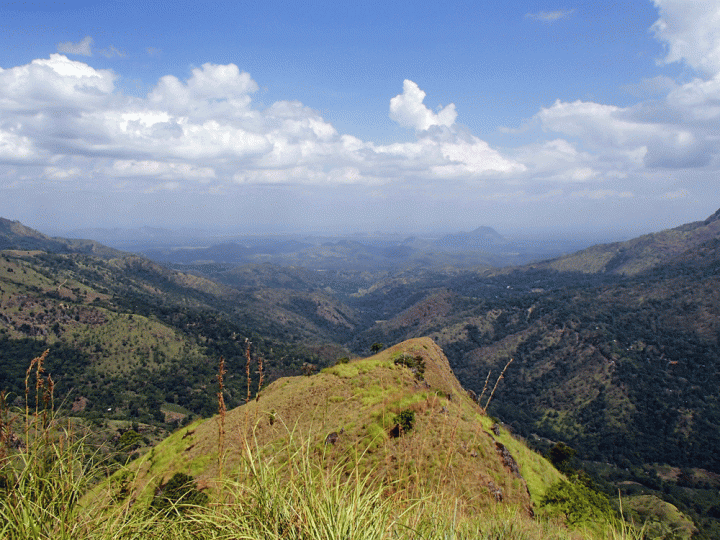 Uitzicht vanaf Little Adam's peak in Ella Sri Lanka