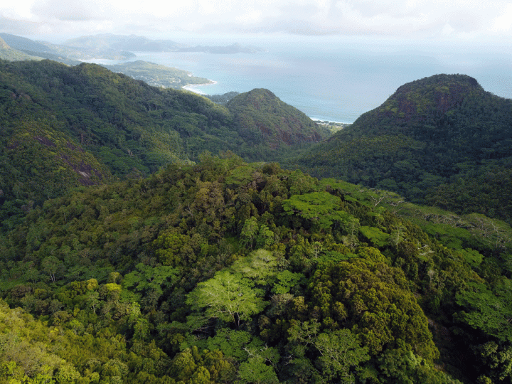 De bergen van Mahé Seychellen