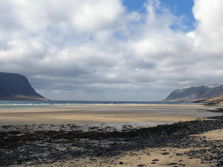 Stranden van de IJslandse Westfjorden