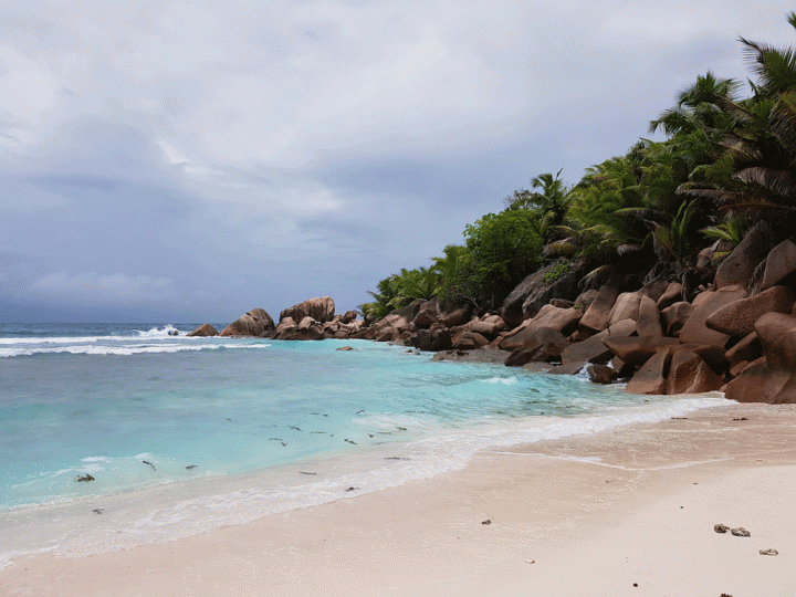 Strand van Anse Cocos La Digue Seychellen
