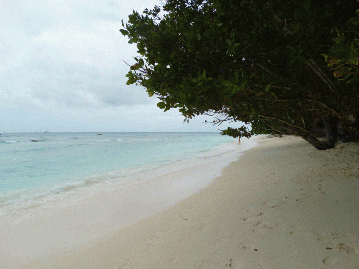 Strand van Anse Severe La Digue Seychellen