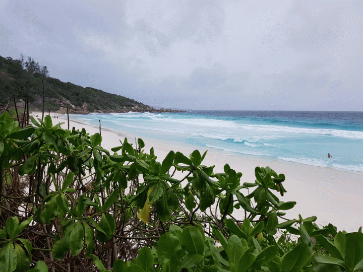 Strand van Petit Anse La Digue Seychellen