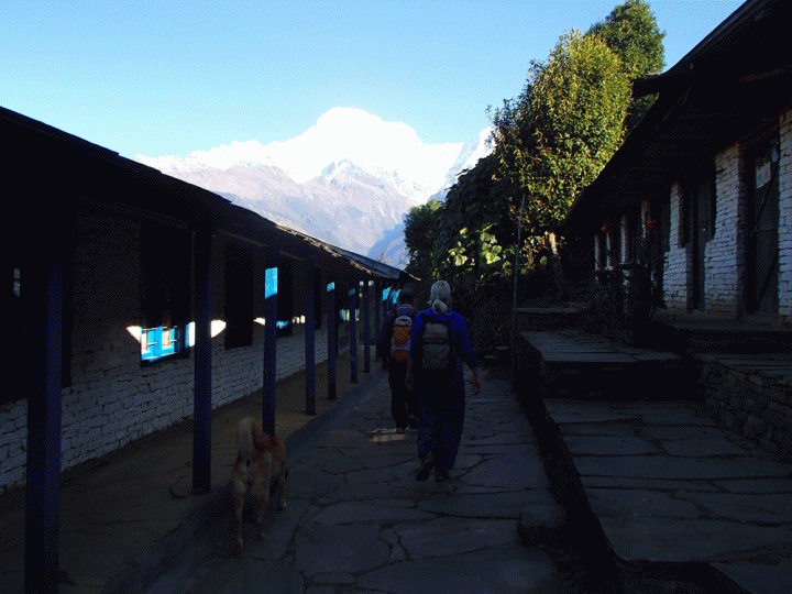 Annapurna basecamp trekking