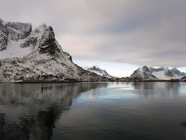 Uitzicht Reinefjord Noorwegen