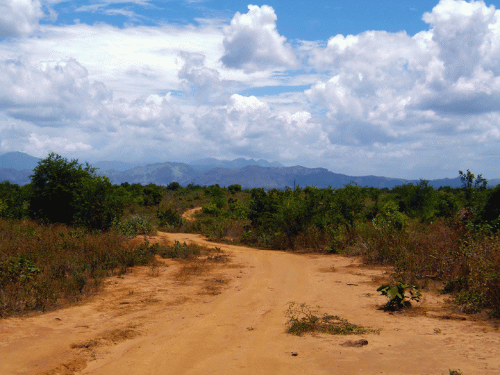 Safari Udawalawe National Park Sri Lanka