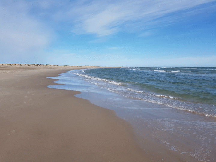 Het strand van Grenen Jutland