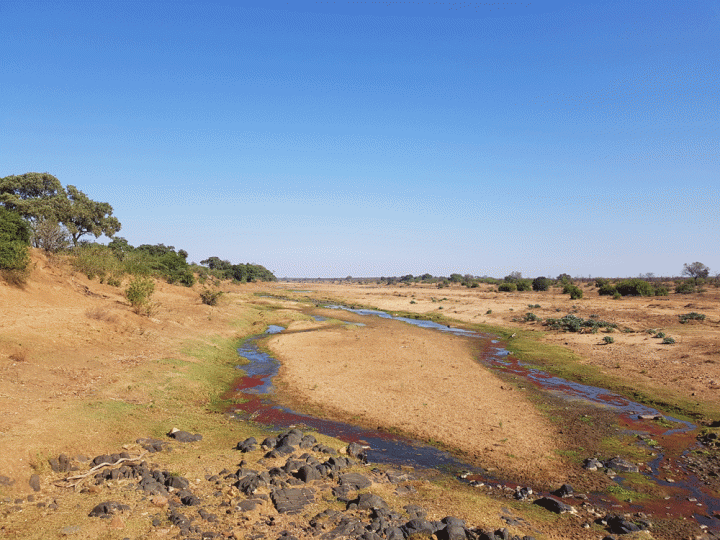 Landschap Noord Kruger Zuid-Afrika