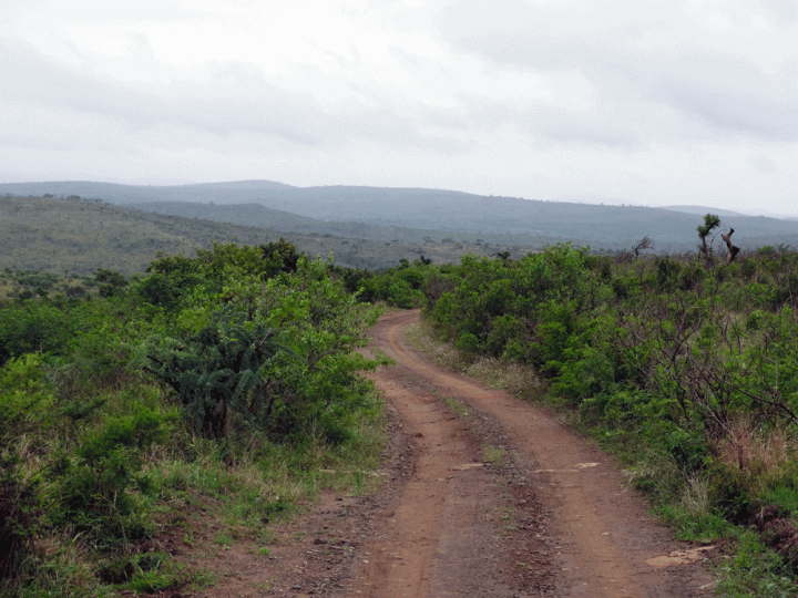 Hluhluwe iMfolozi National Park Zuid-Afrika
